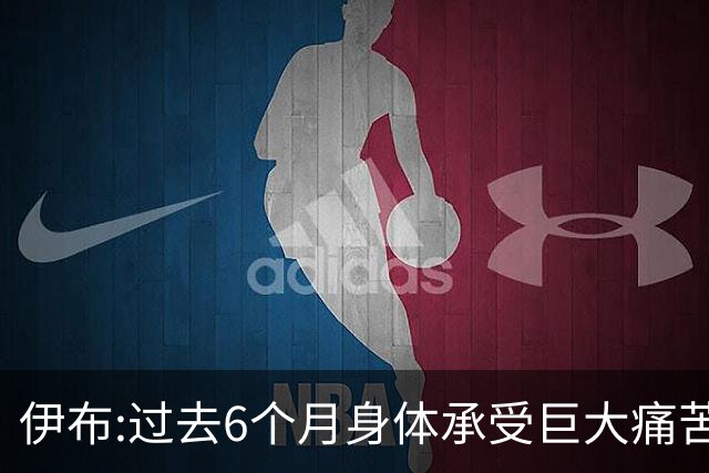 伊布:过去6个月身体承受巨大痛苦 只为帮球队夺冠